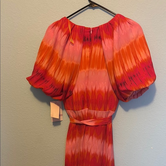 Maison Tara Sunset Striped Maxi Dress - Picture 11 of 12